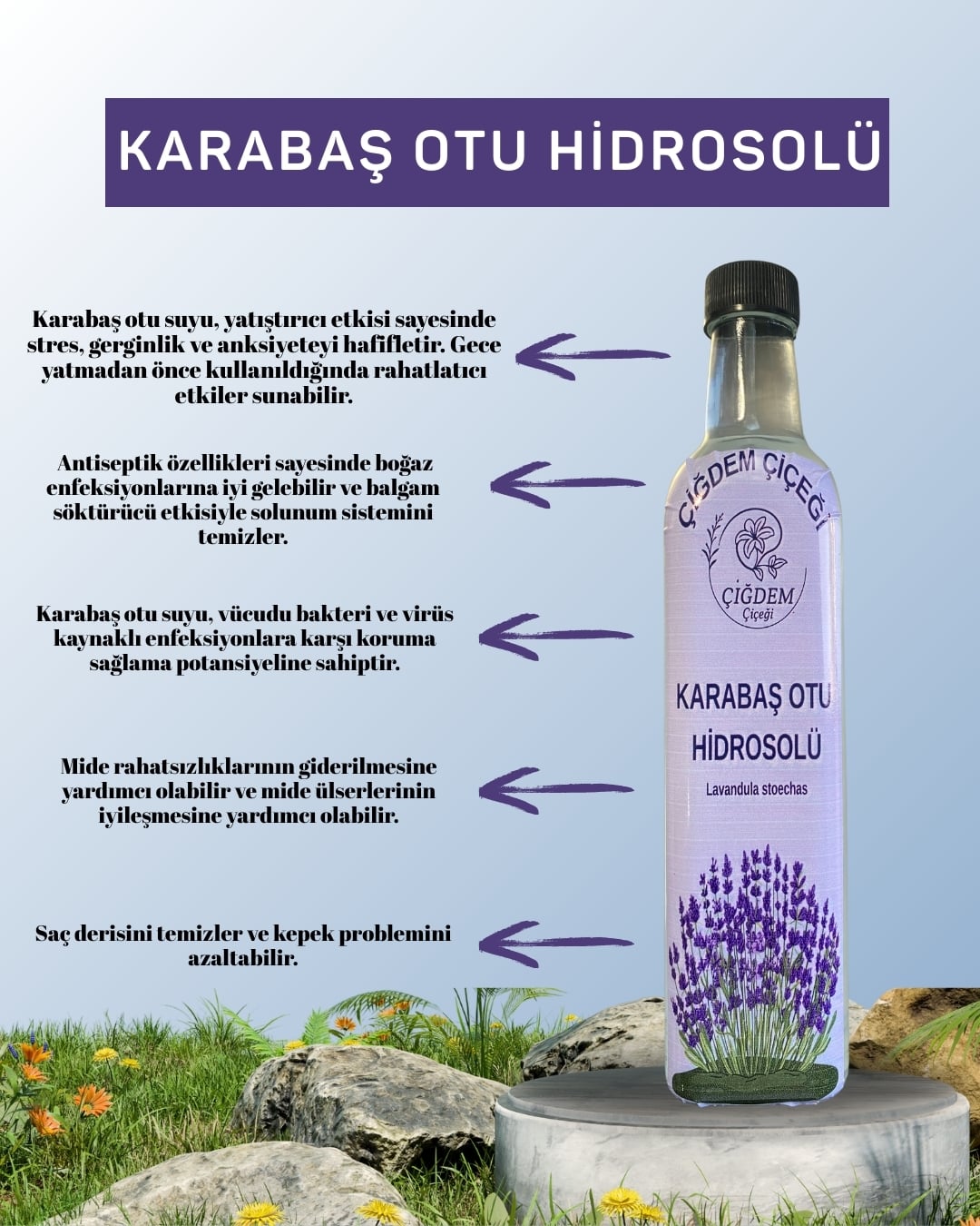 Karabaş Otu Hidrosolü