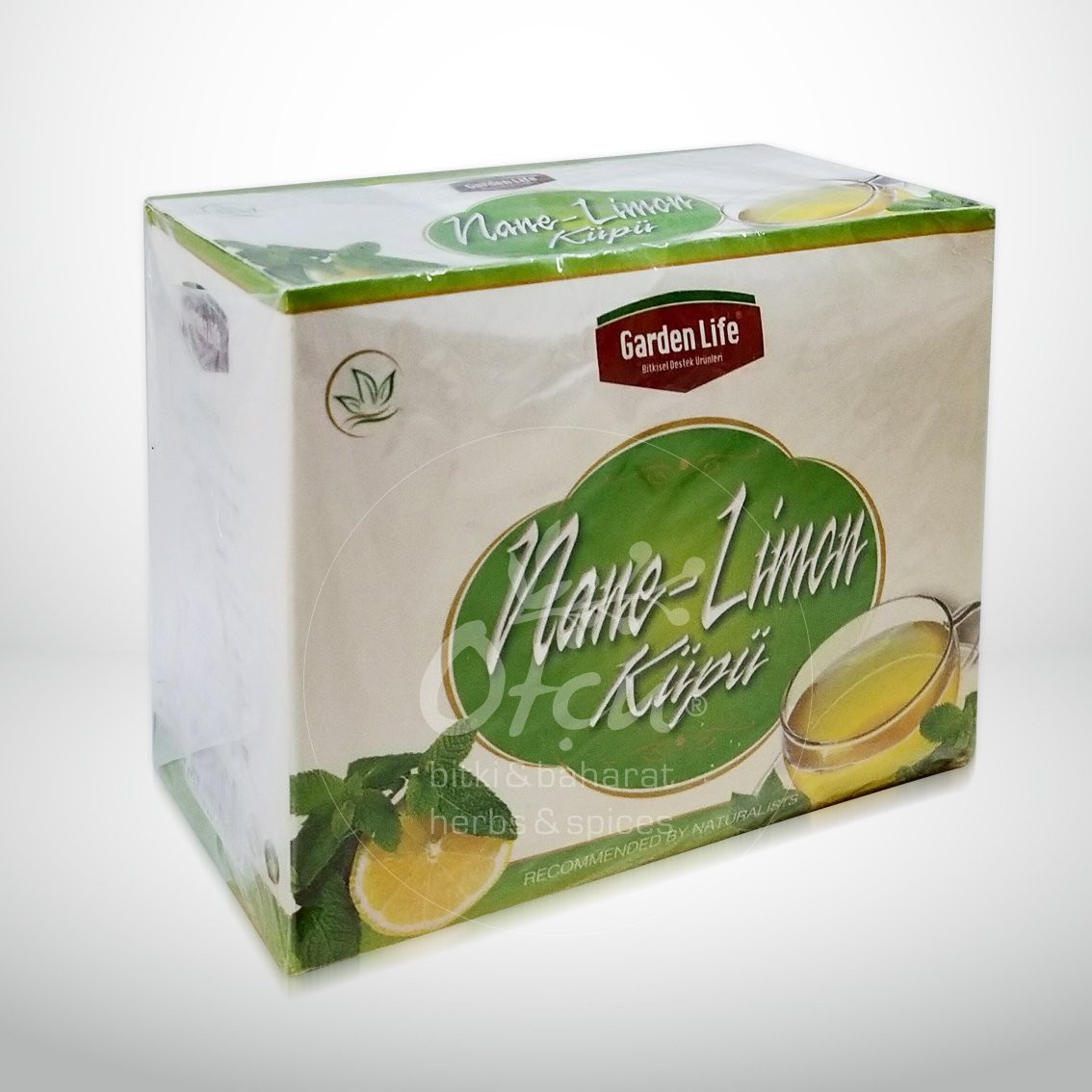 Garden Life Nane Limon Küpü