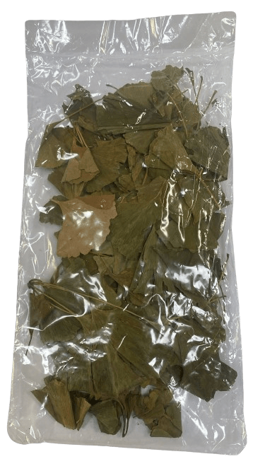 Otçu® Ginkgo Biloba Yaprağı 25 gr