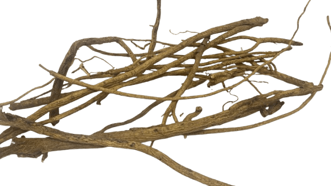 Otçu® Çin Geveni (Astragalus) Geven Otu 100 gr