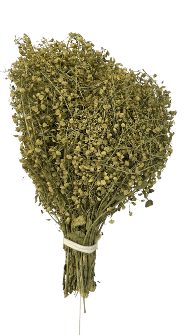 Çoban Çantası 70 gr