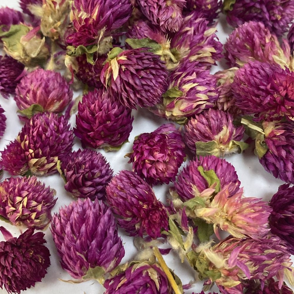 Otcu® Hanım Düğmesi Çiçeği 15 gr