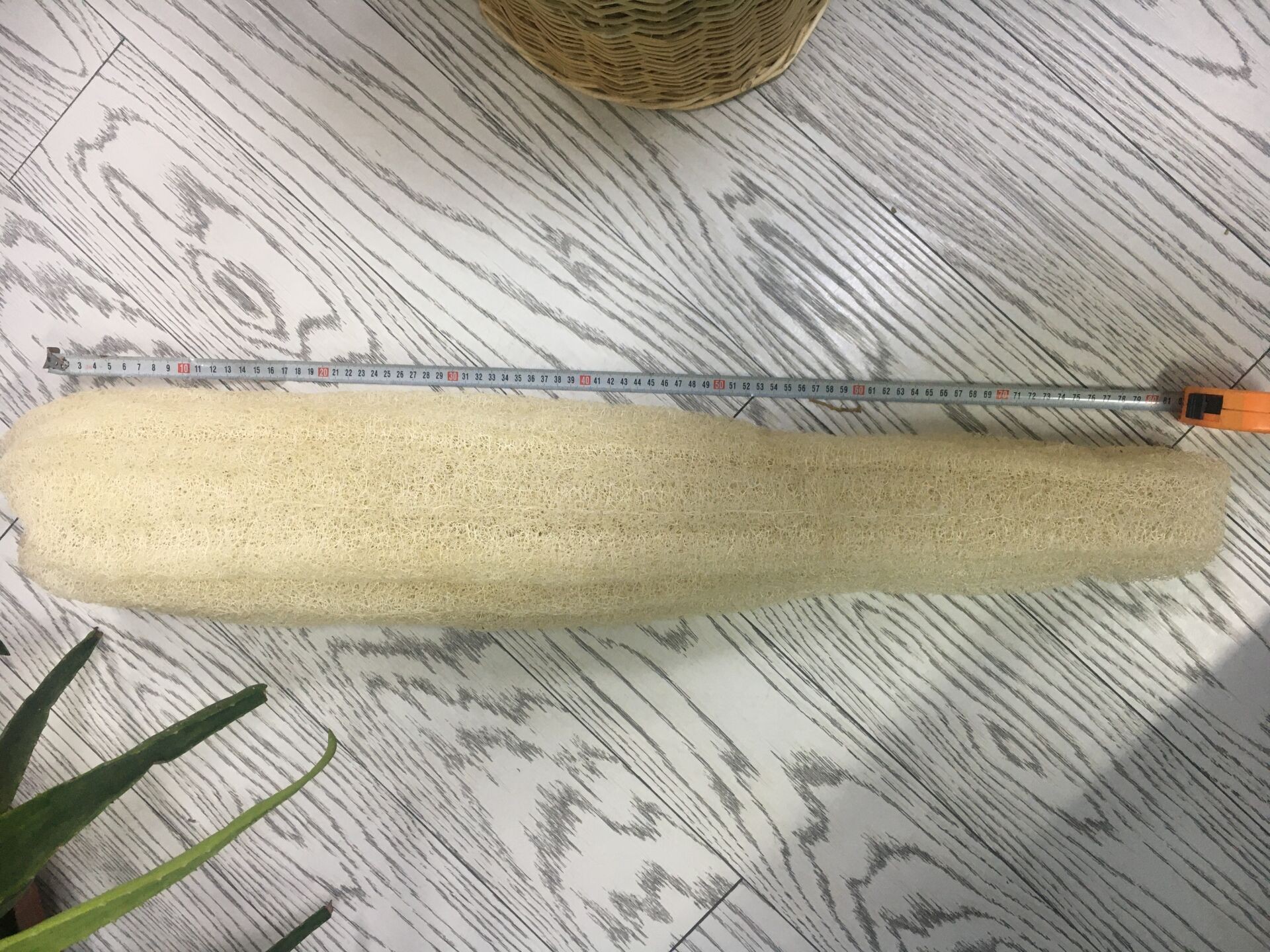 Doğal Kabak Lifi  Vücut - Bulaşık - Temizlik 85-95 cm