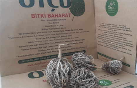 Meryem Ana Eli Otu, Havva Ana Eli 100g