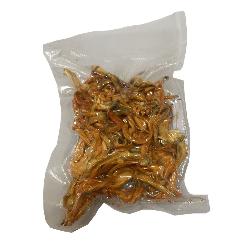 Kordiseps (Cordyceps) Mantarı