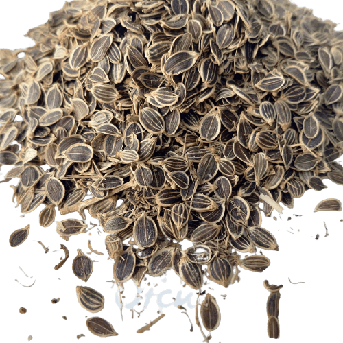 Çakşır Tohumu