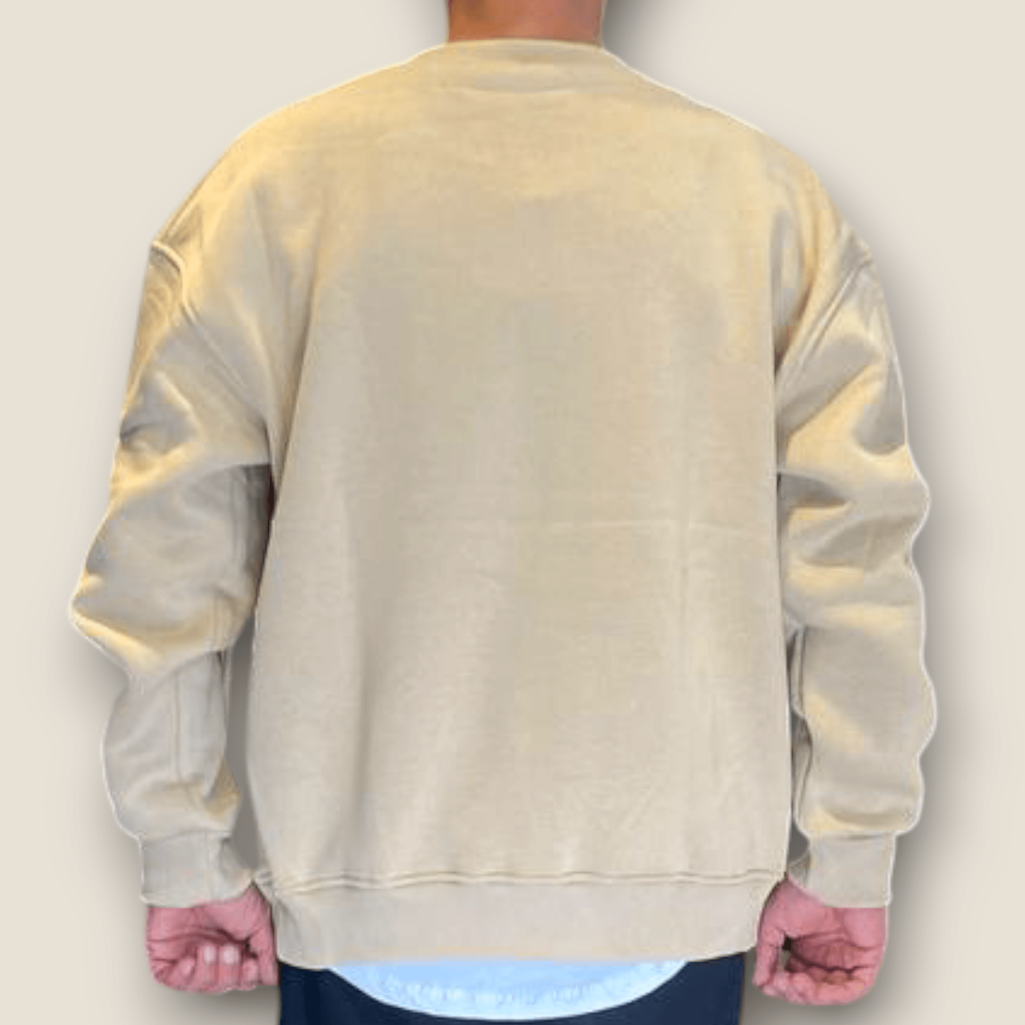 Bej Renk Şardonlu Basic Sweatshirt