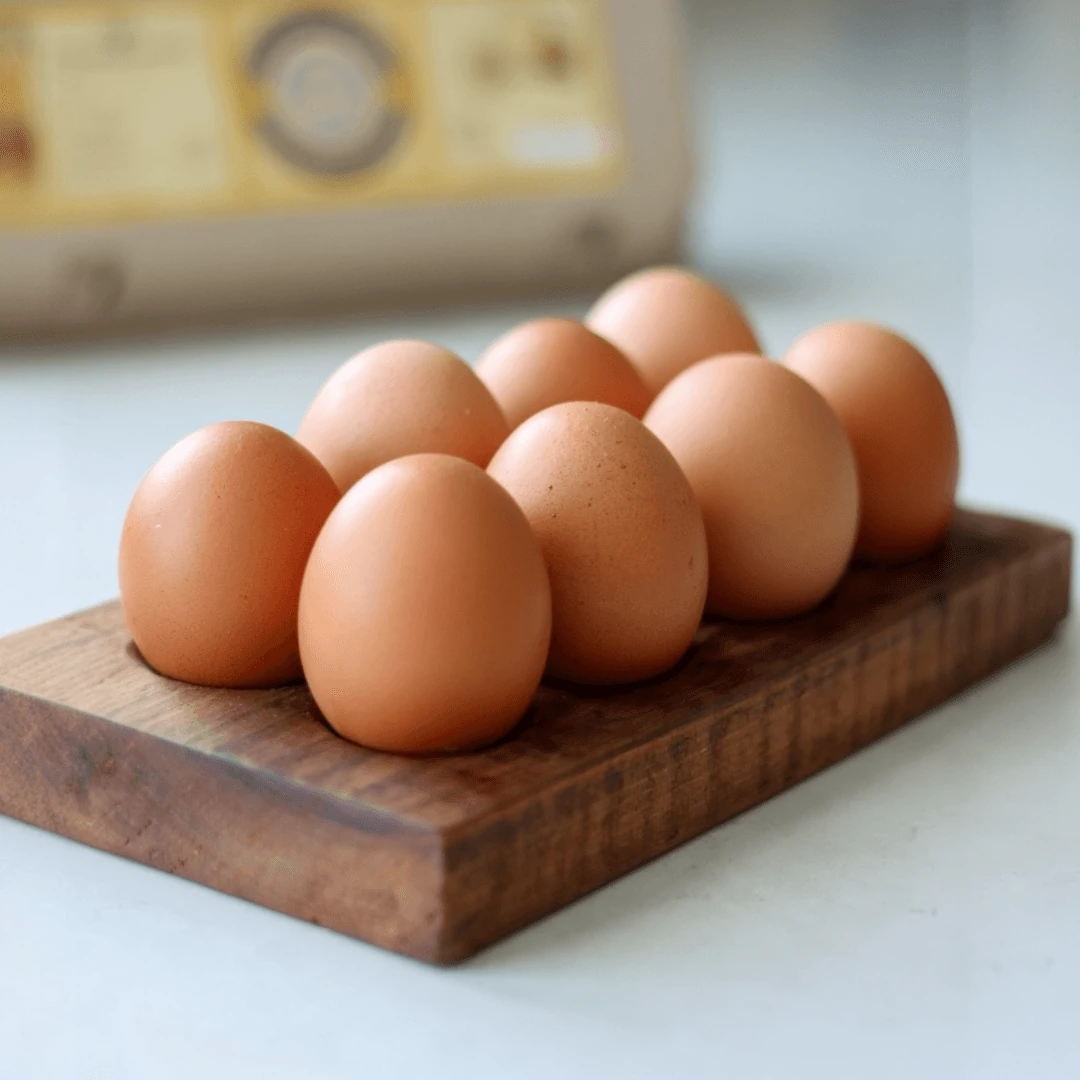 Özel Ambalajında Gezen Tavuk Yumurtası (10 adet)