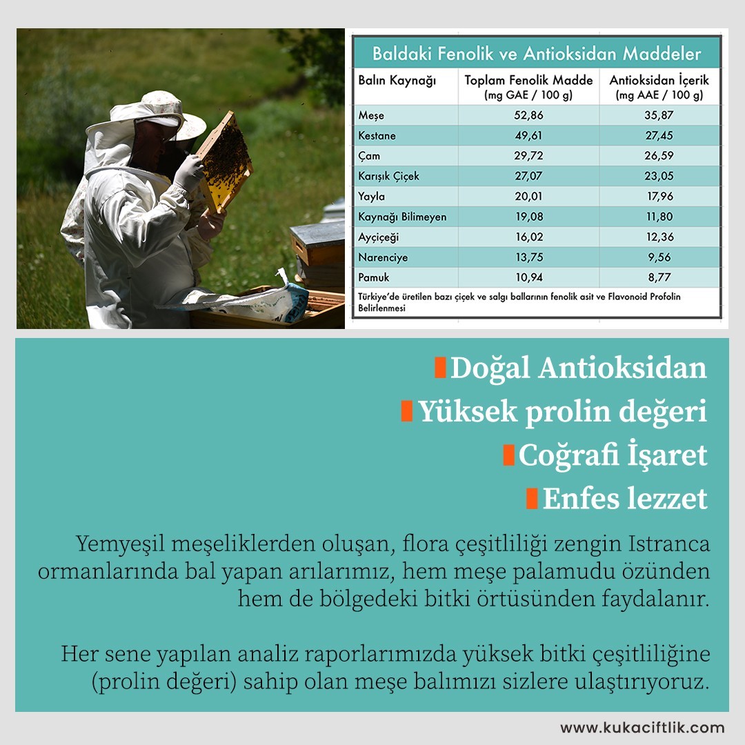 Meşe Balı (325 gr)