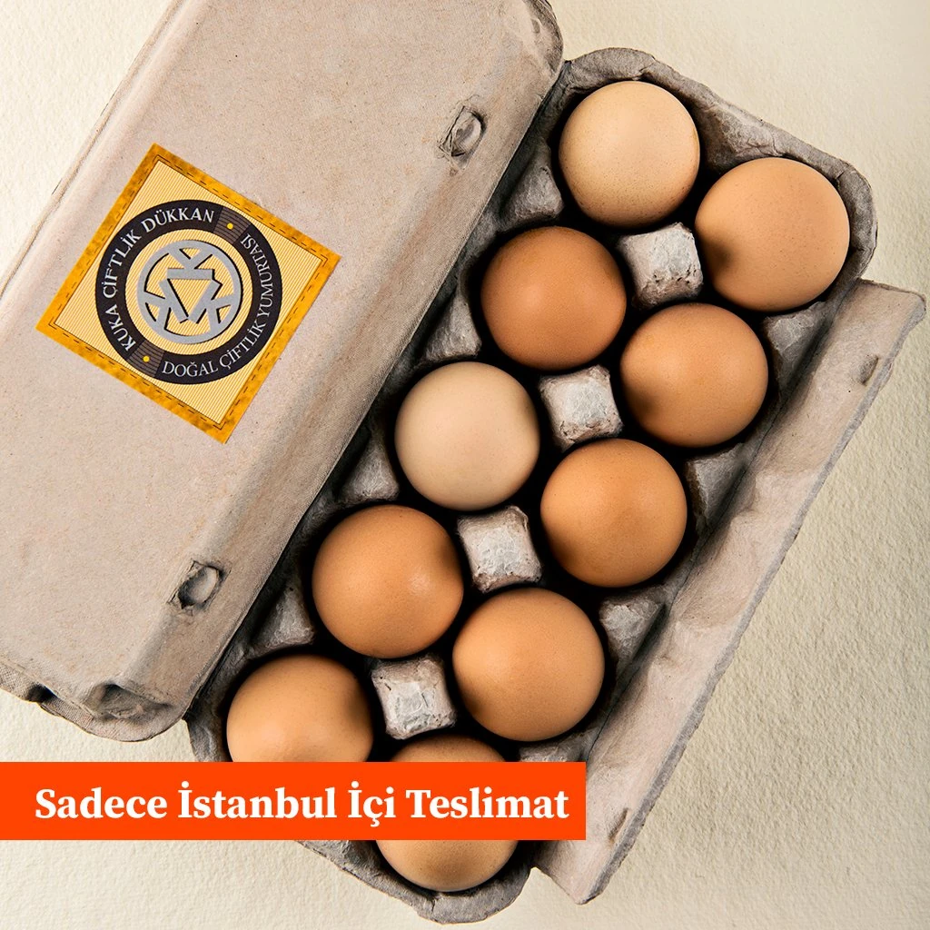 Gezen Tavuk Yumurtası (10 adet)