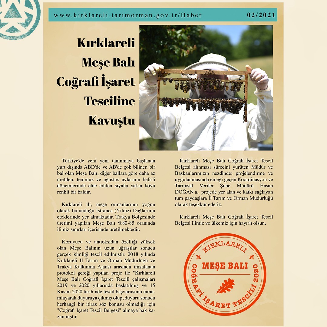 Meşe Balı (325 gr)