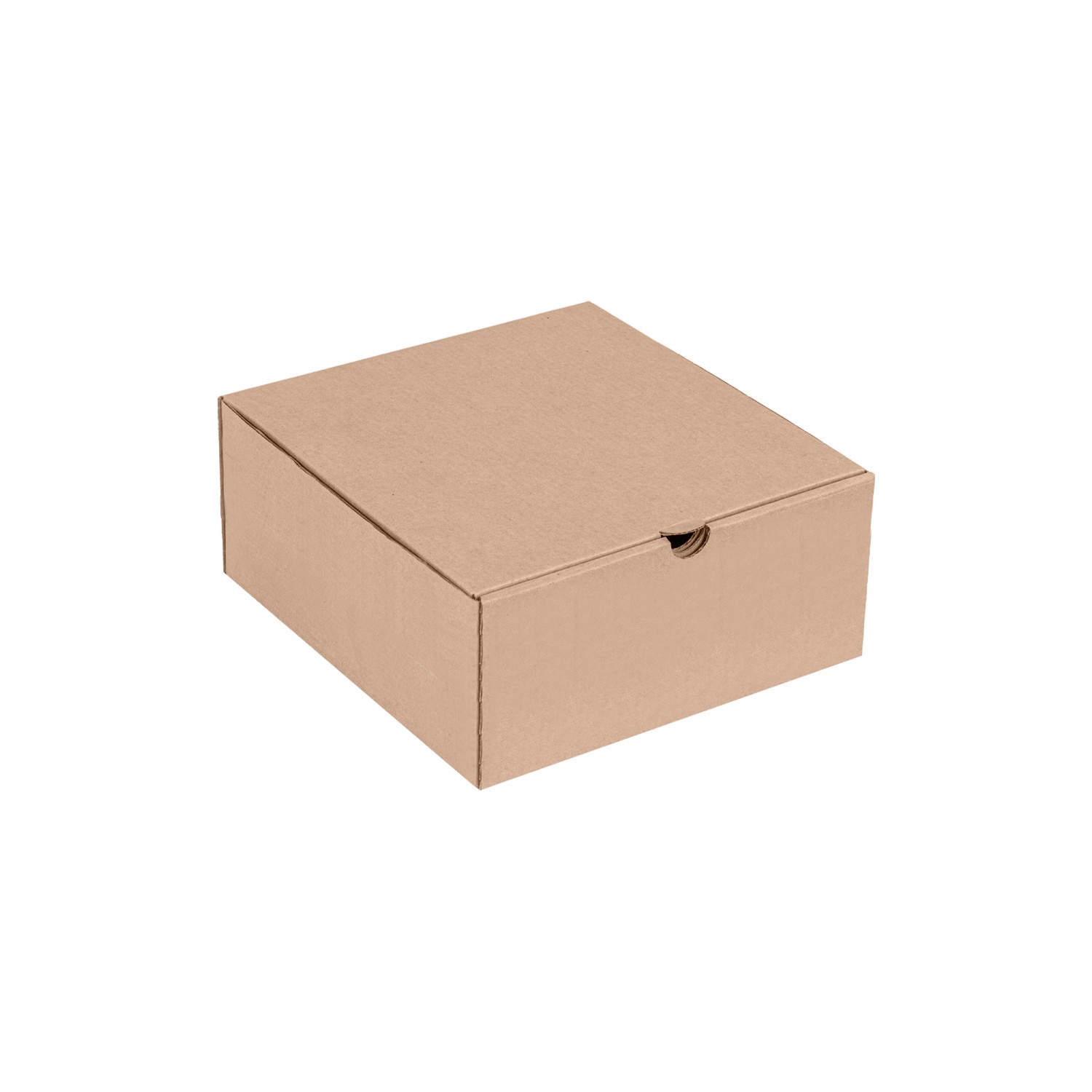 25x25x10 cm Kraft E-ticaret Kutusu