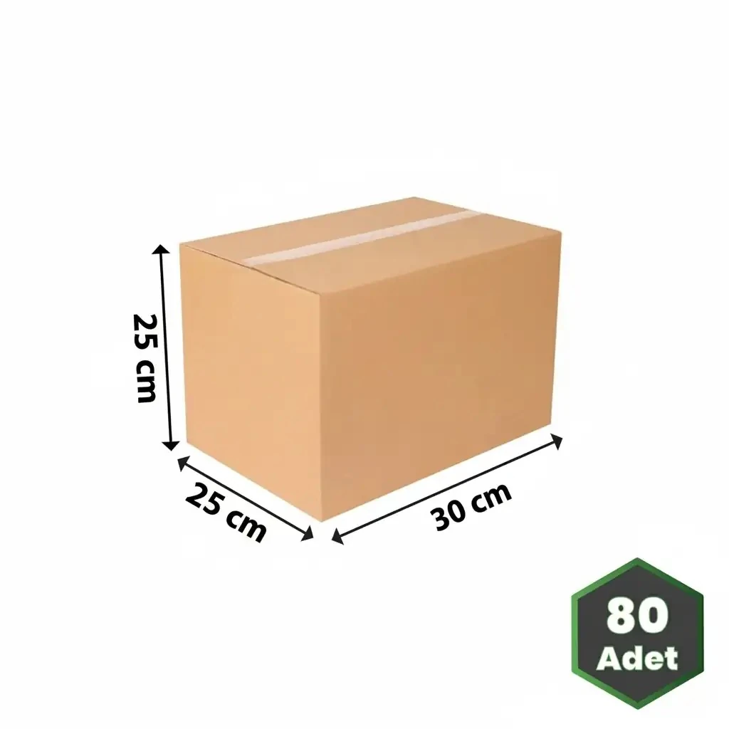 30x25x25 cm Çift Oluklu Kraft Taşıma Kolisi