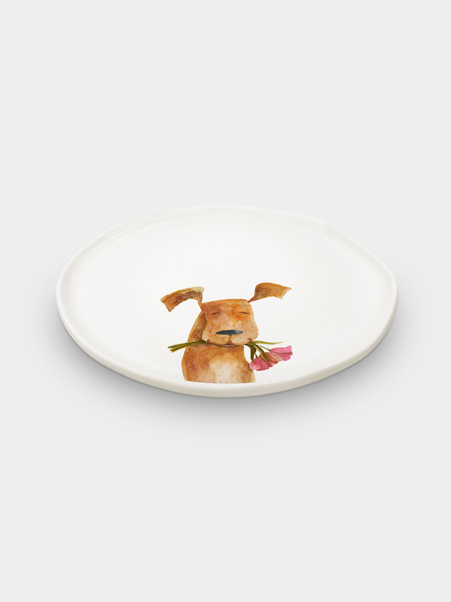 Hayvan Tabak Köpek
