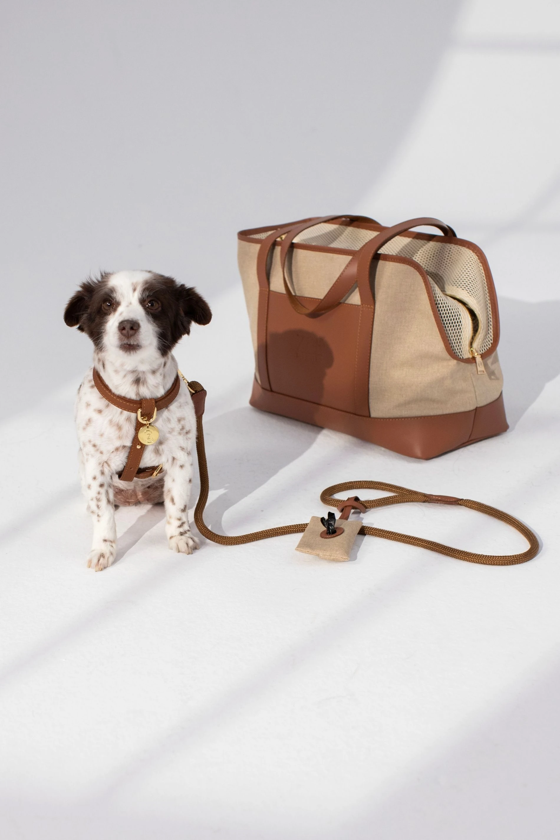 Kanvas Köpek İhtiyaç Çantası