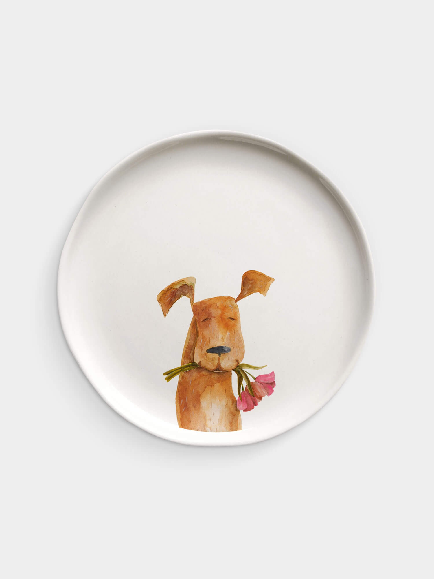 Hayvan Tabak Köpek