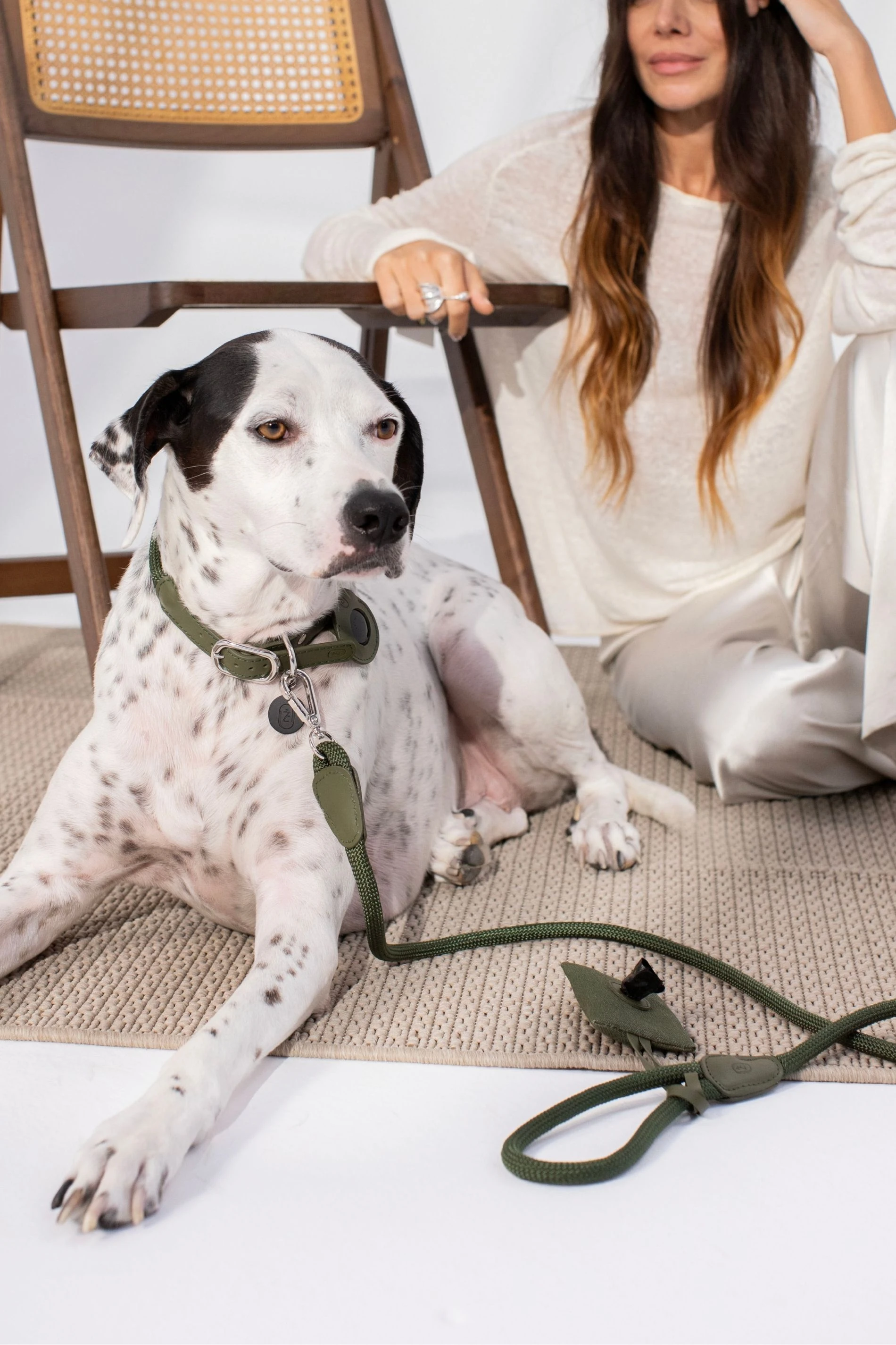 Deri Kedi ve Köpek Airtag Kılıfı