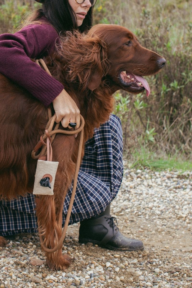 Kanvas Köpek İhtiyaç Çantası