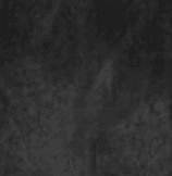 Hug Berjer - Beyaz Teddy