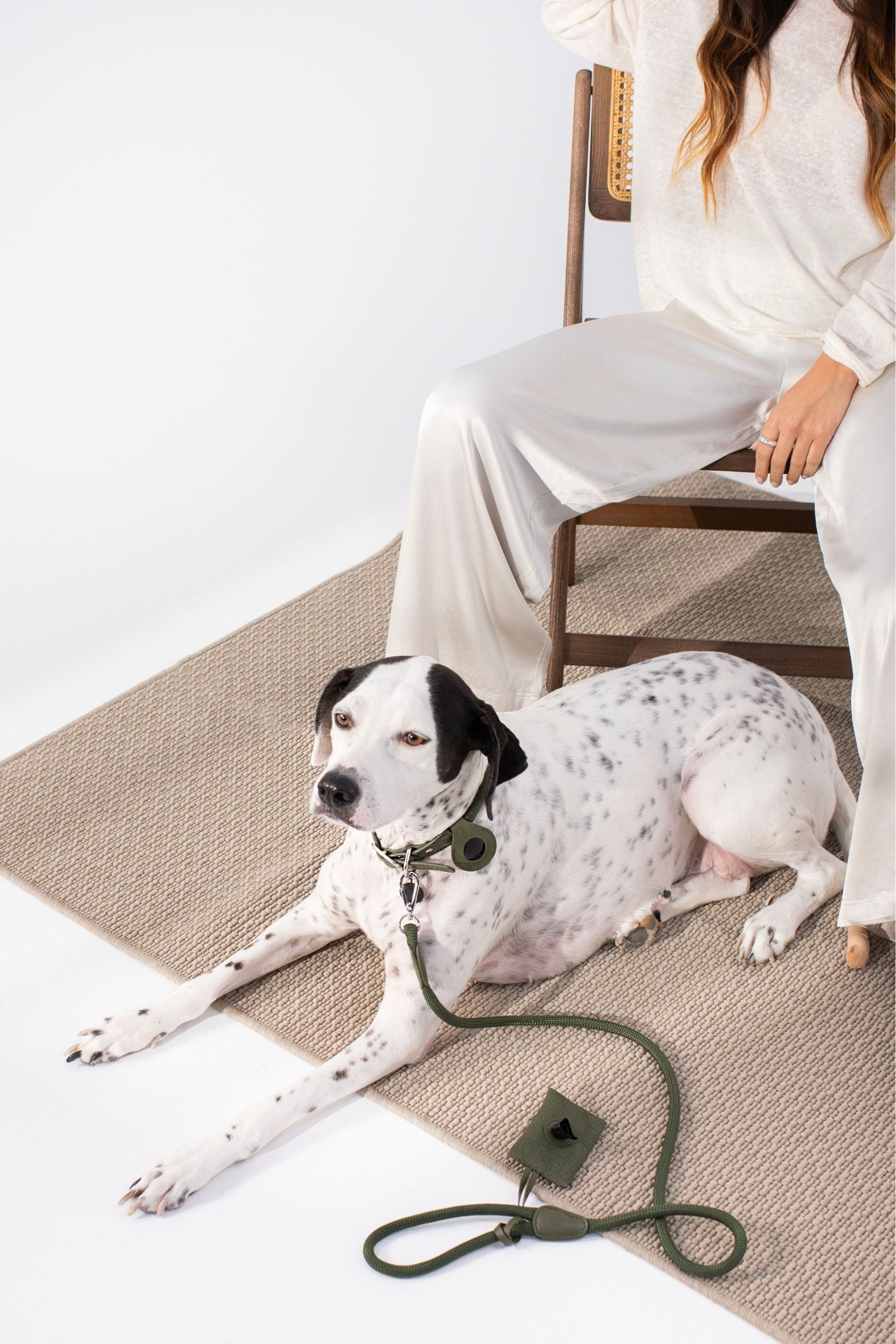 Deri Kedi ve Köpek Airtag Kılıfı