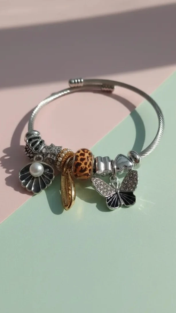 Premium Çelik Charm Bileklik