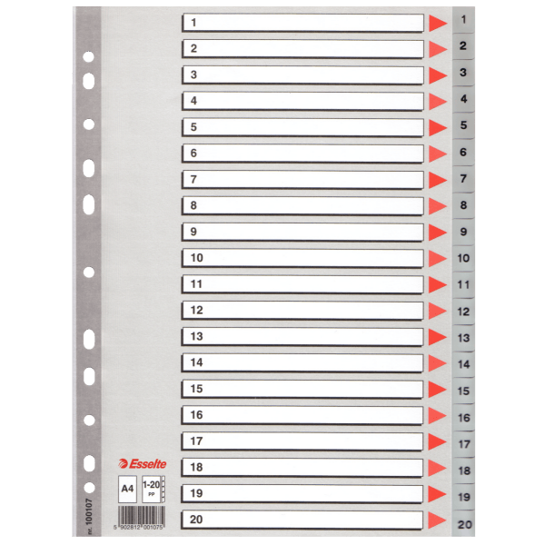 Esselte Seperatör 1-20 Rakamlı Plastik A4 100107