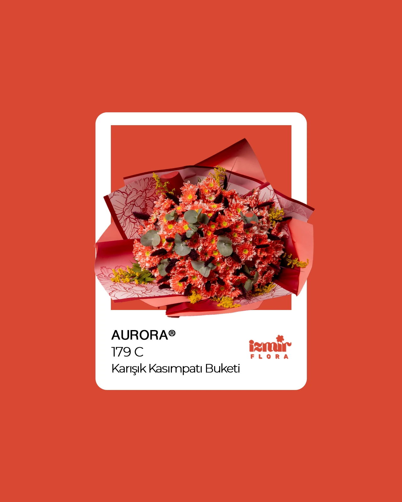 Aurora - Karışık Kasımpatı Buketi 