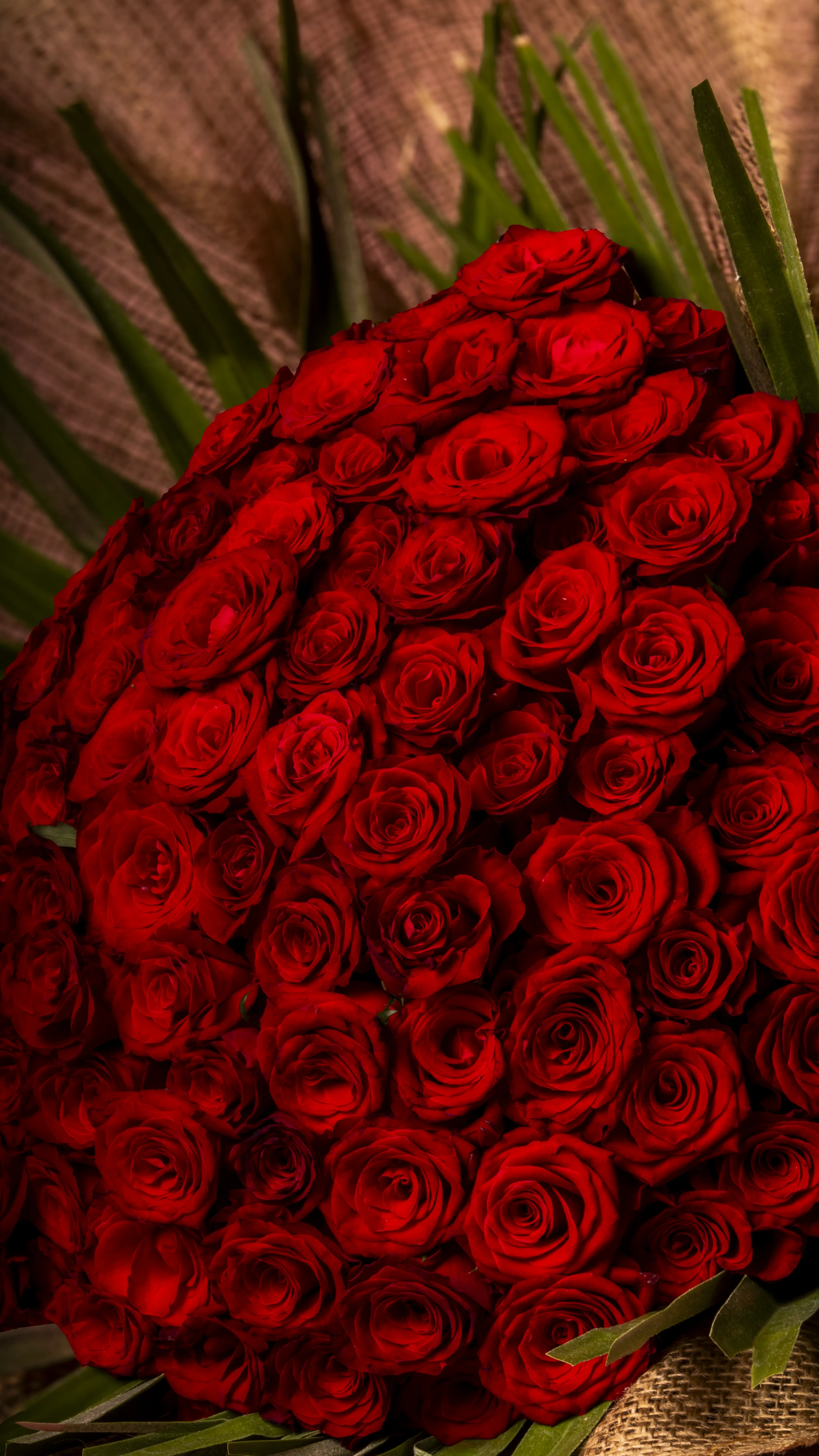 Roseland - 101'li Premium Gül Buketi