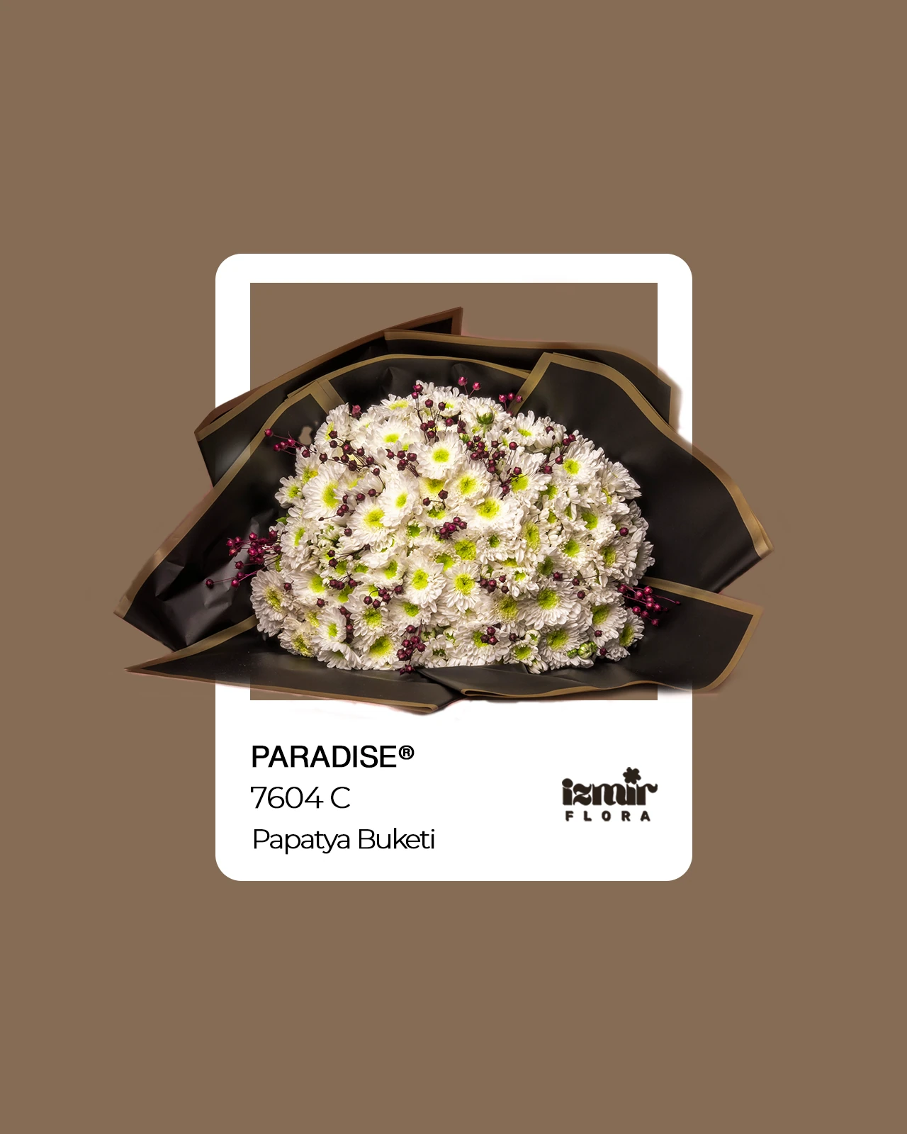 Paradise - Papatya Buketi 