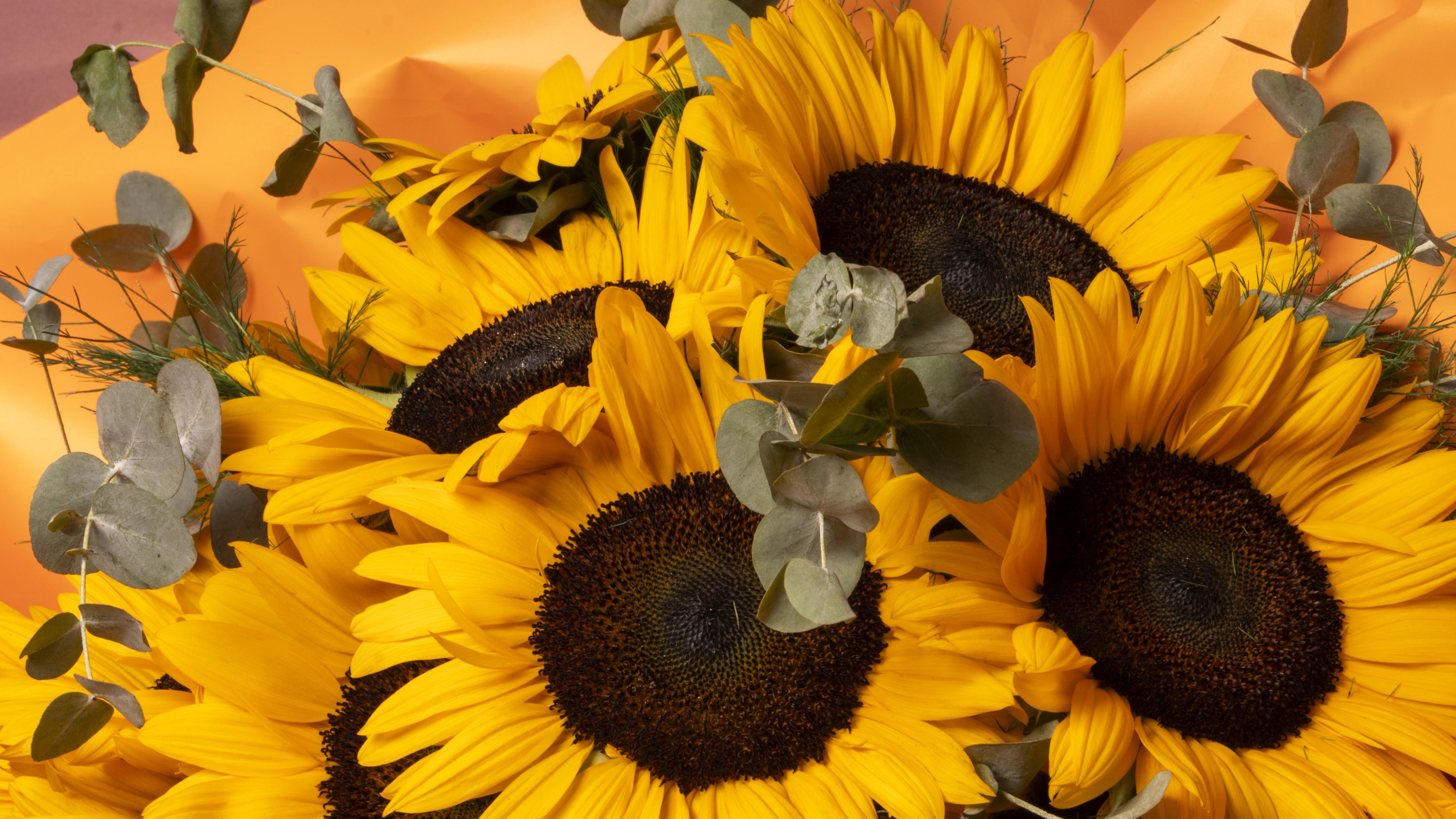 Solara - Ayçiçeği Buketi