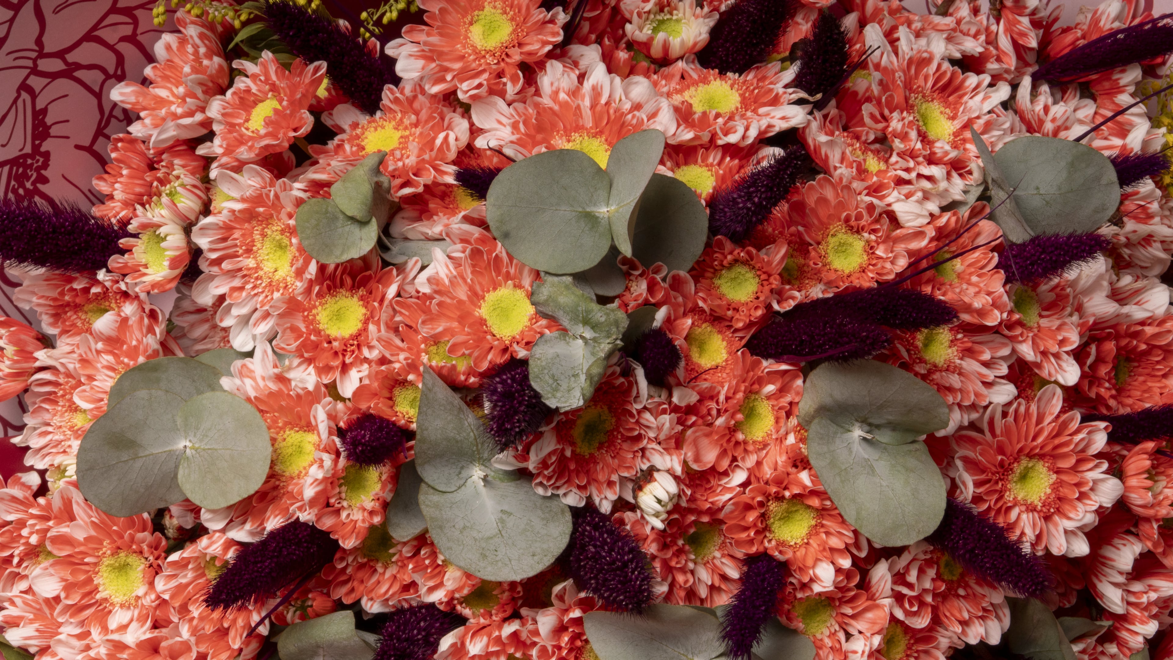 Aurora - Karışık Kasımpatı Buketi 