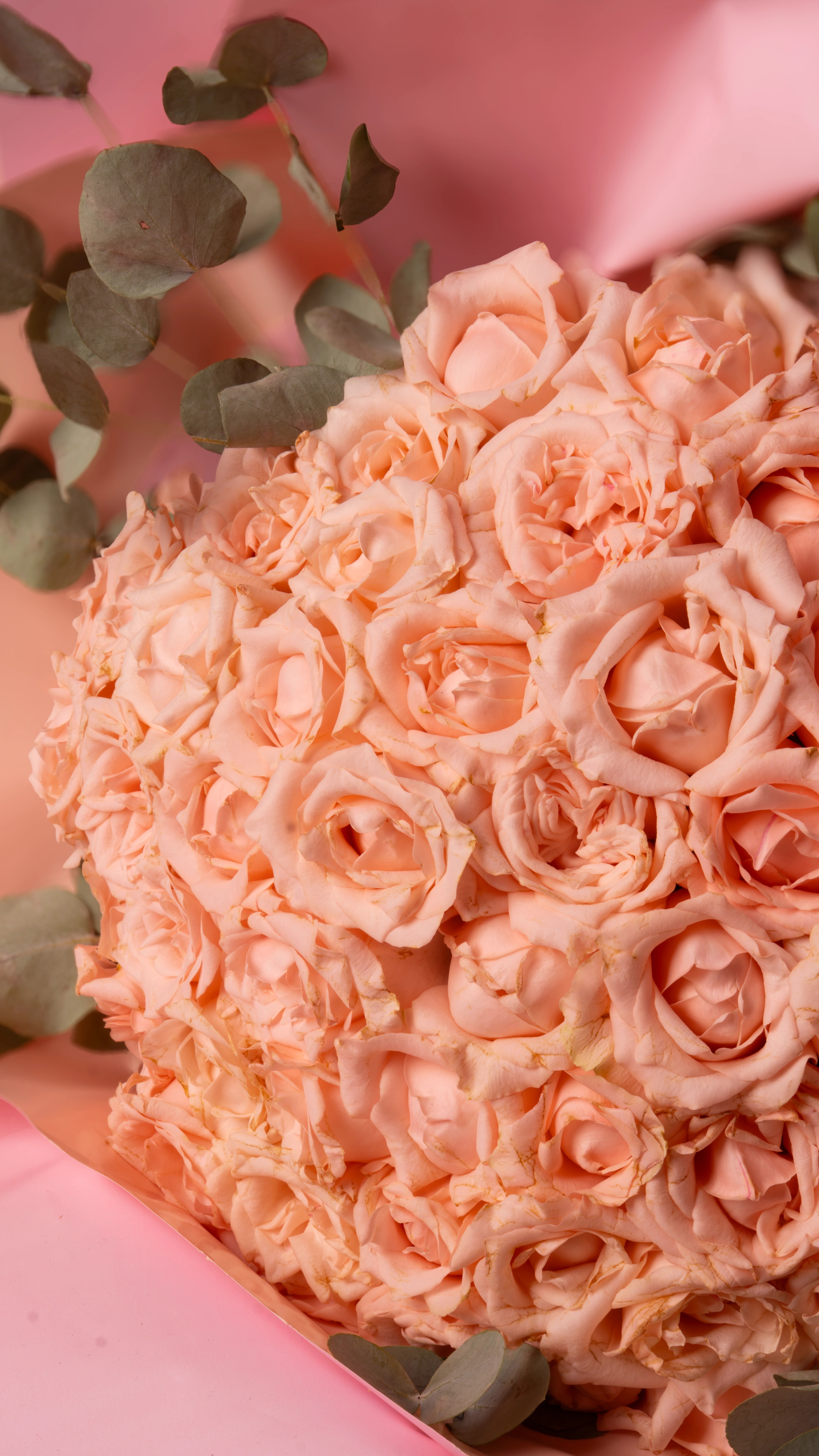 Pastel Pembe - Somon Gül Buketi