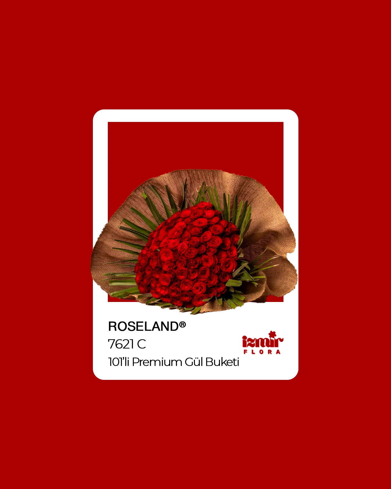 Roseland - 101'li Premium Gül Buketi