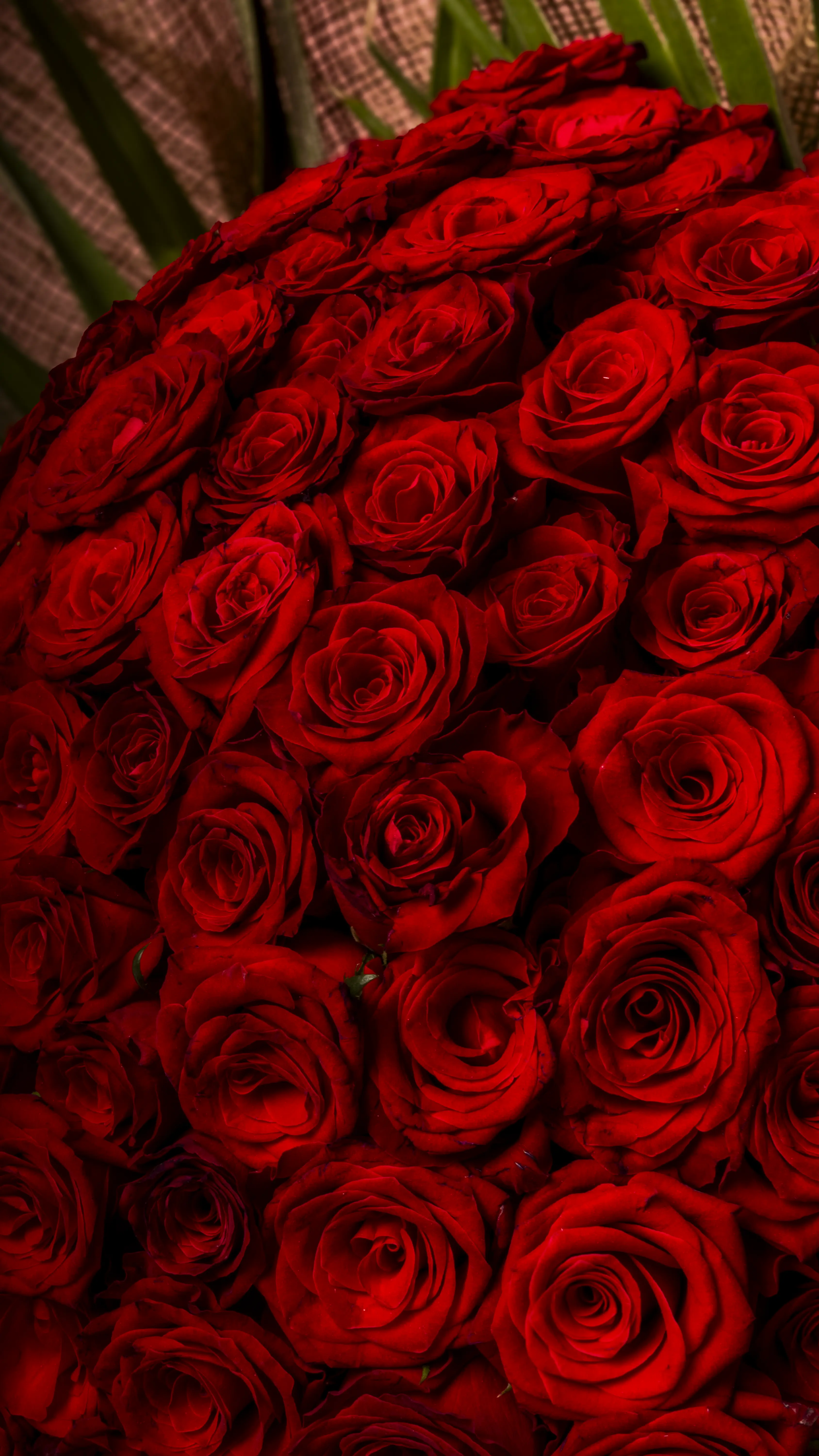 Roseland - 101'li Premium Gül Buketi