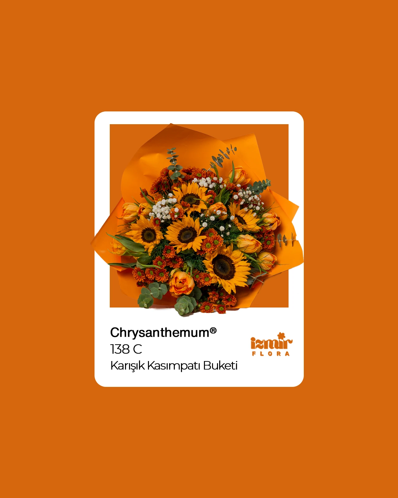 Chrysanthemum - Kasımpatı Buketi 