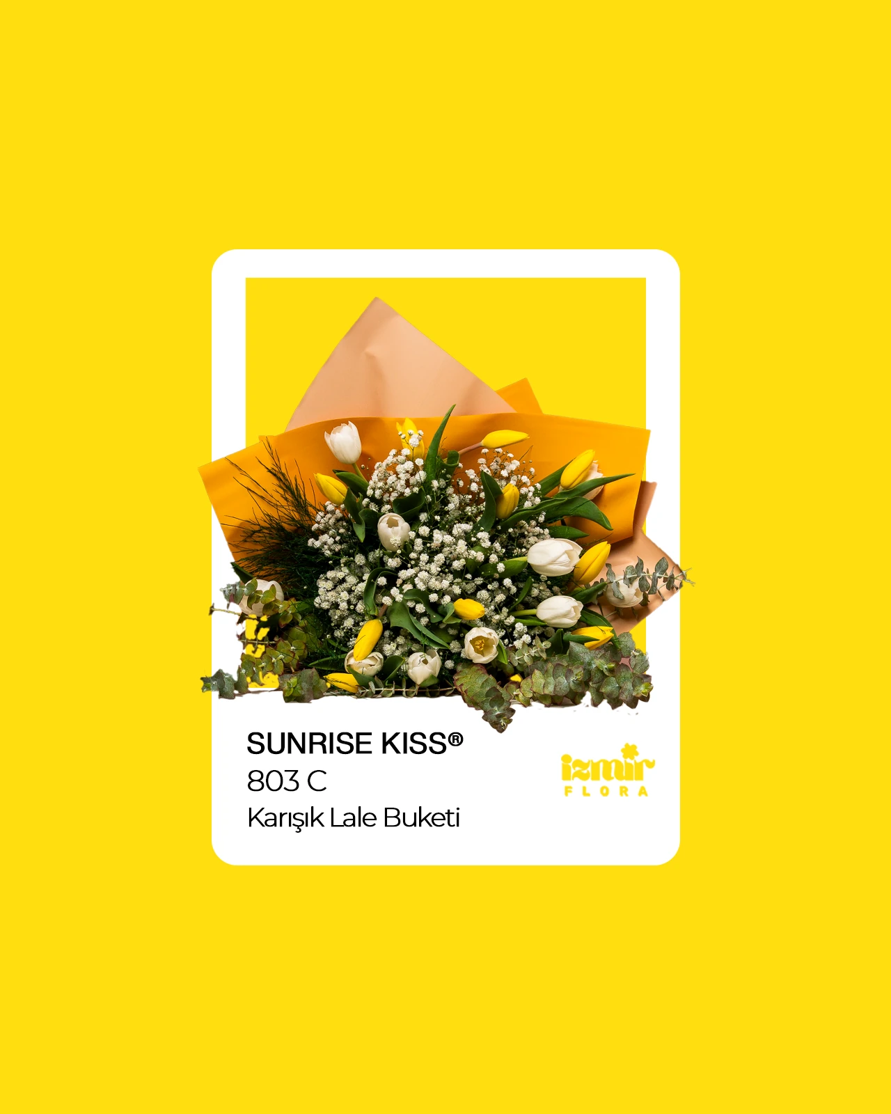 Sunrise Kiss - Karışık Lale Buketi 