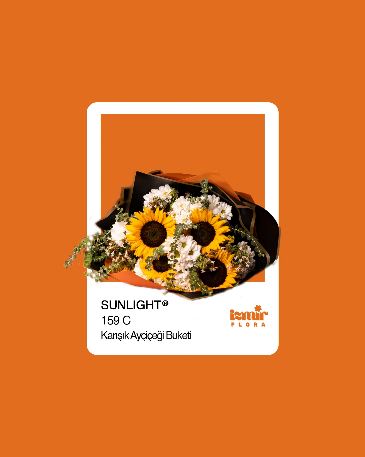 Sunlight - Ayçiçeği ve Papatya Buketi 