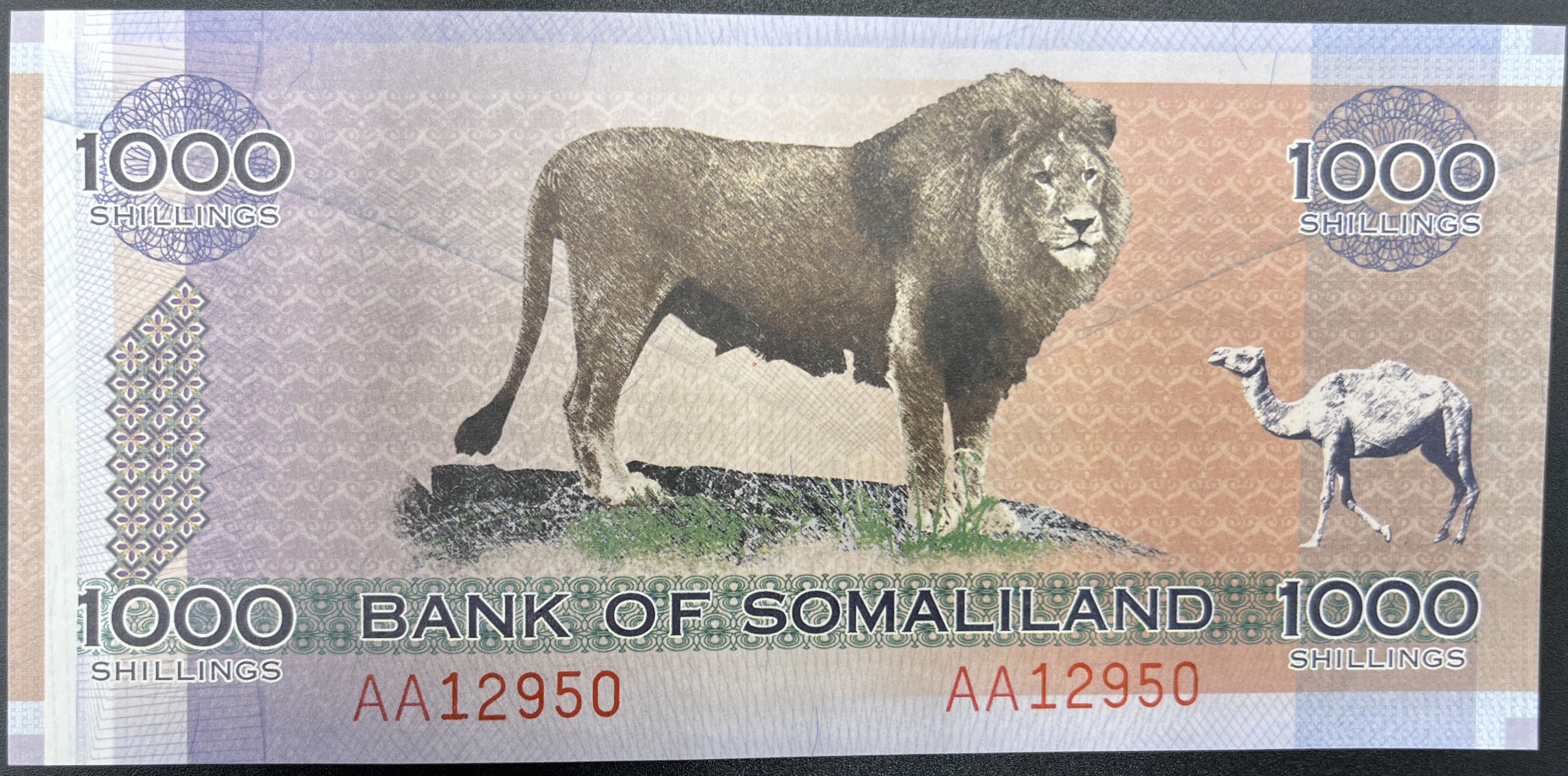 SOMALİLAND>1,000.00>ŞİLİN