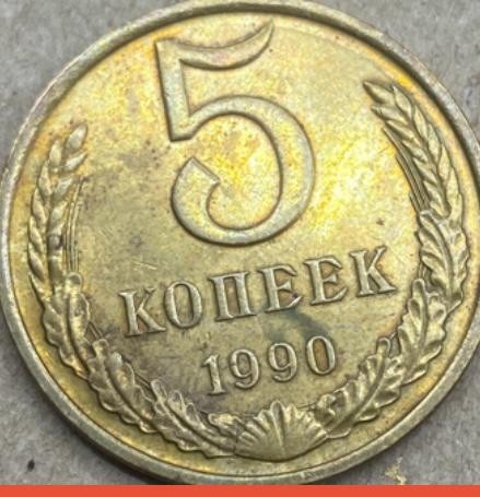 RUSYA>5 >KÖPEK