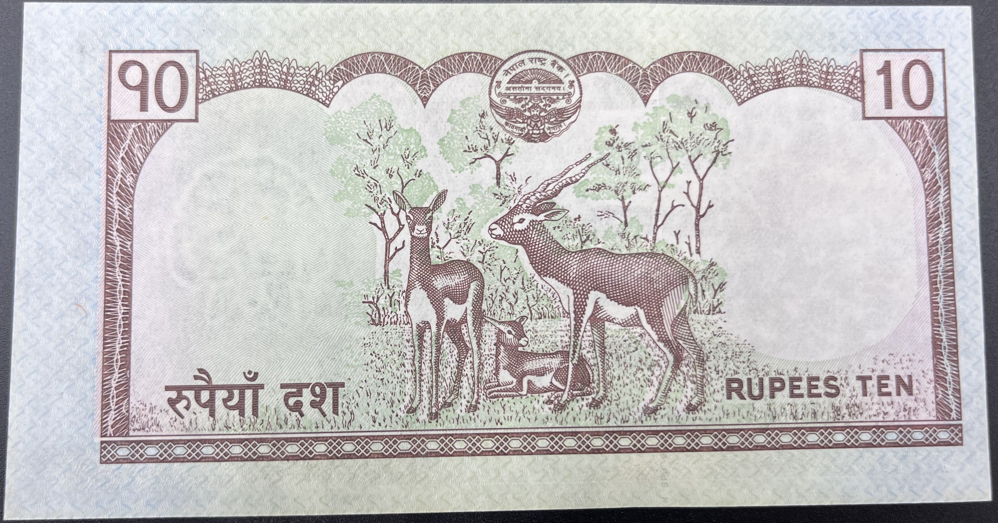 NEPAL>10.00>RUPHİ