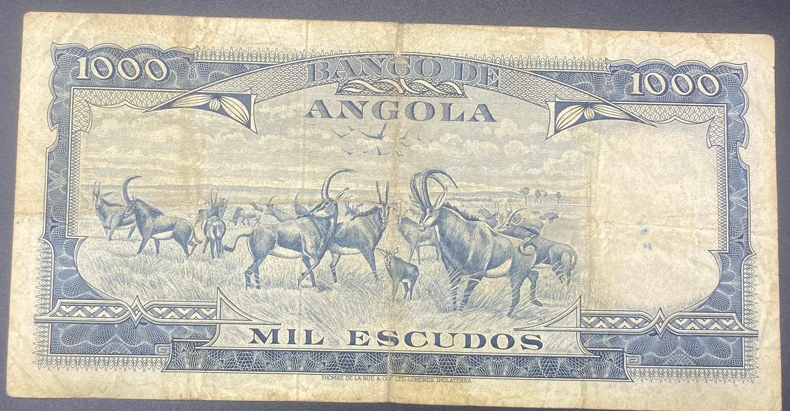 ANGOLA>100.00>KWANSAZ