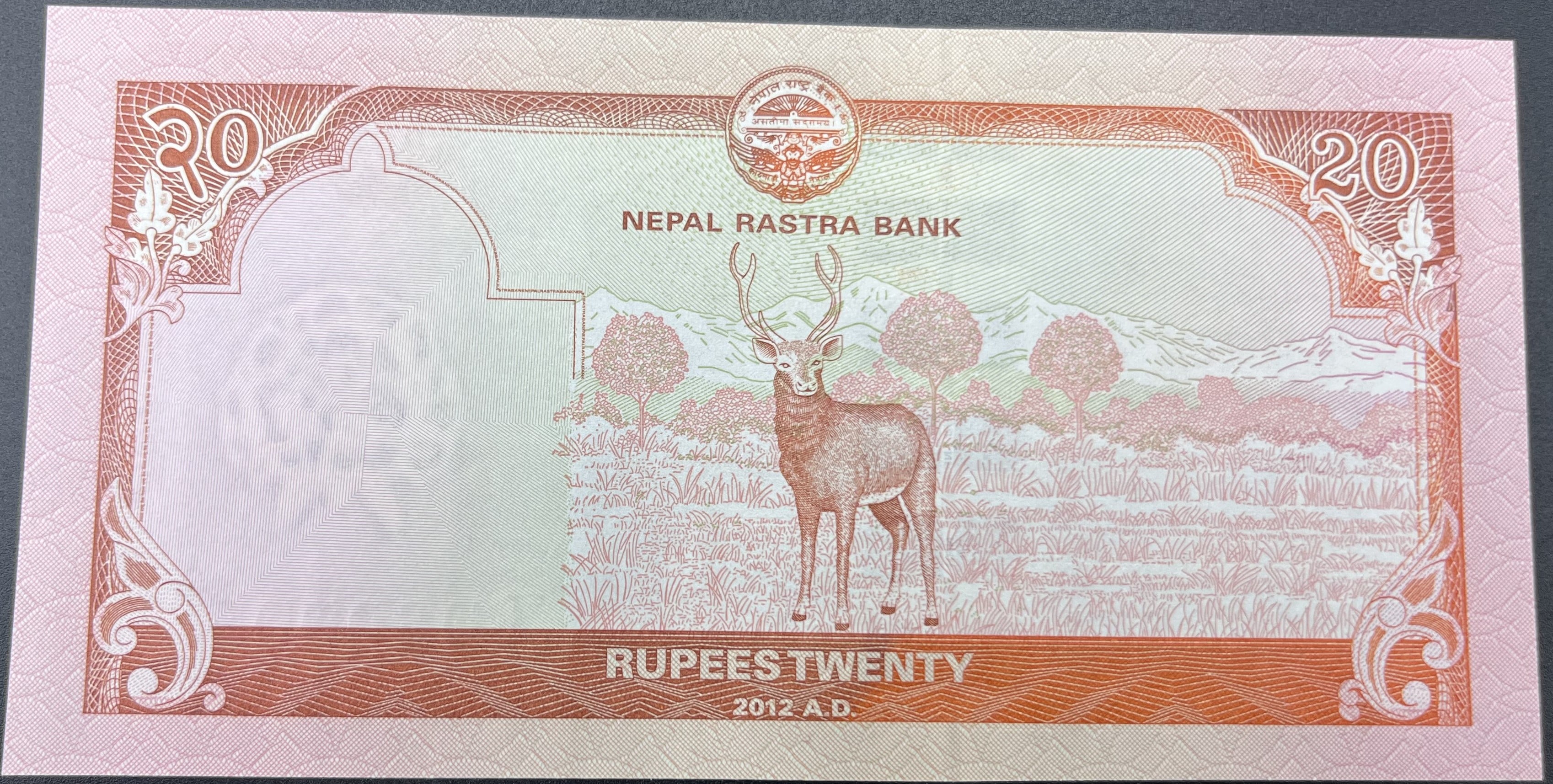 NEPAL>20.00>RUPHİ