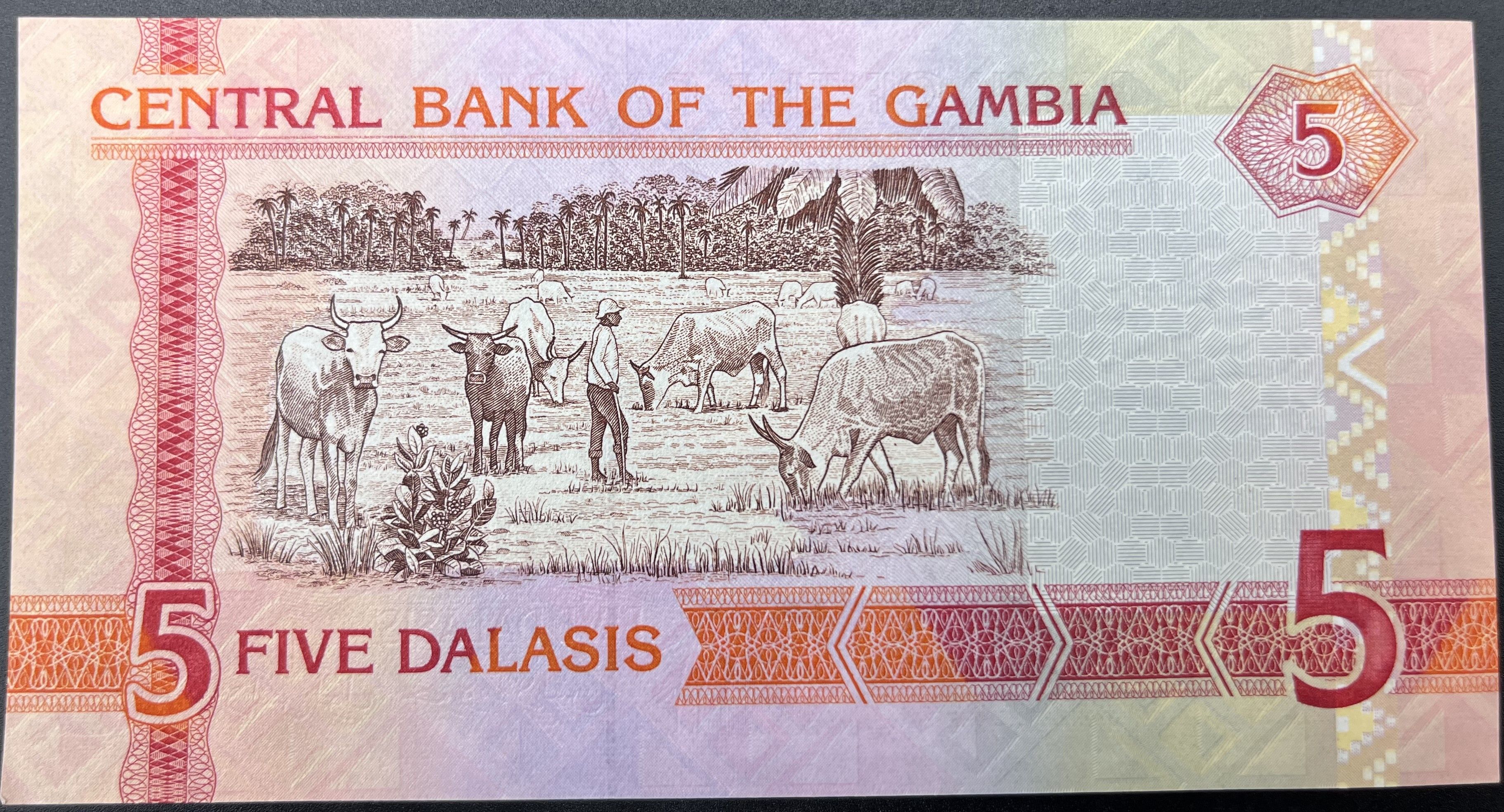 GAMBİA>5.00>DALASİS