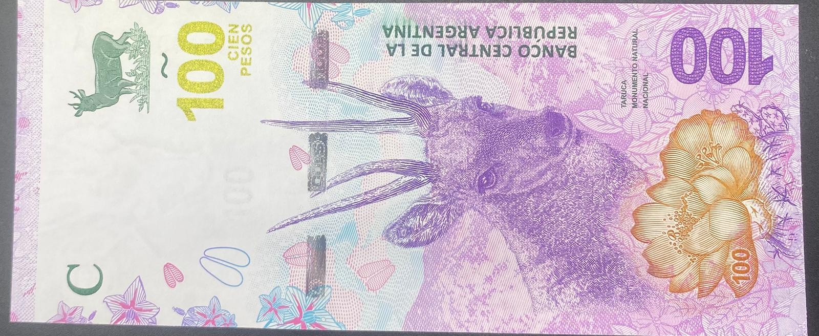 ARJANTİN>100.00>PESOS