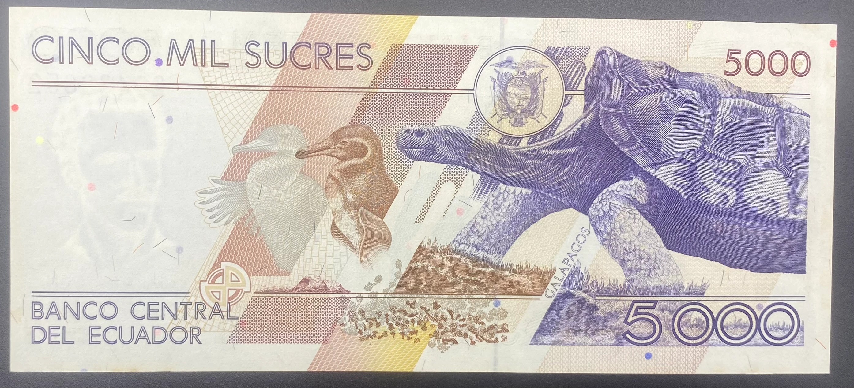 EKVATOR  5 SUCRES  (1999)-ÇİL