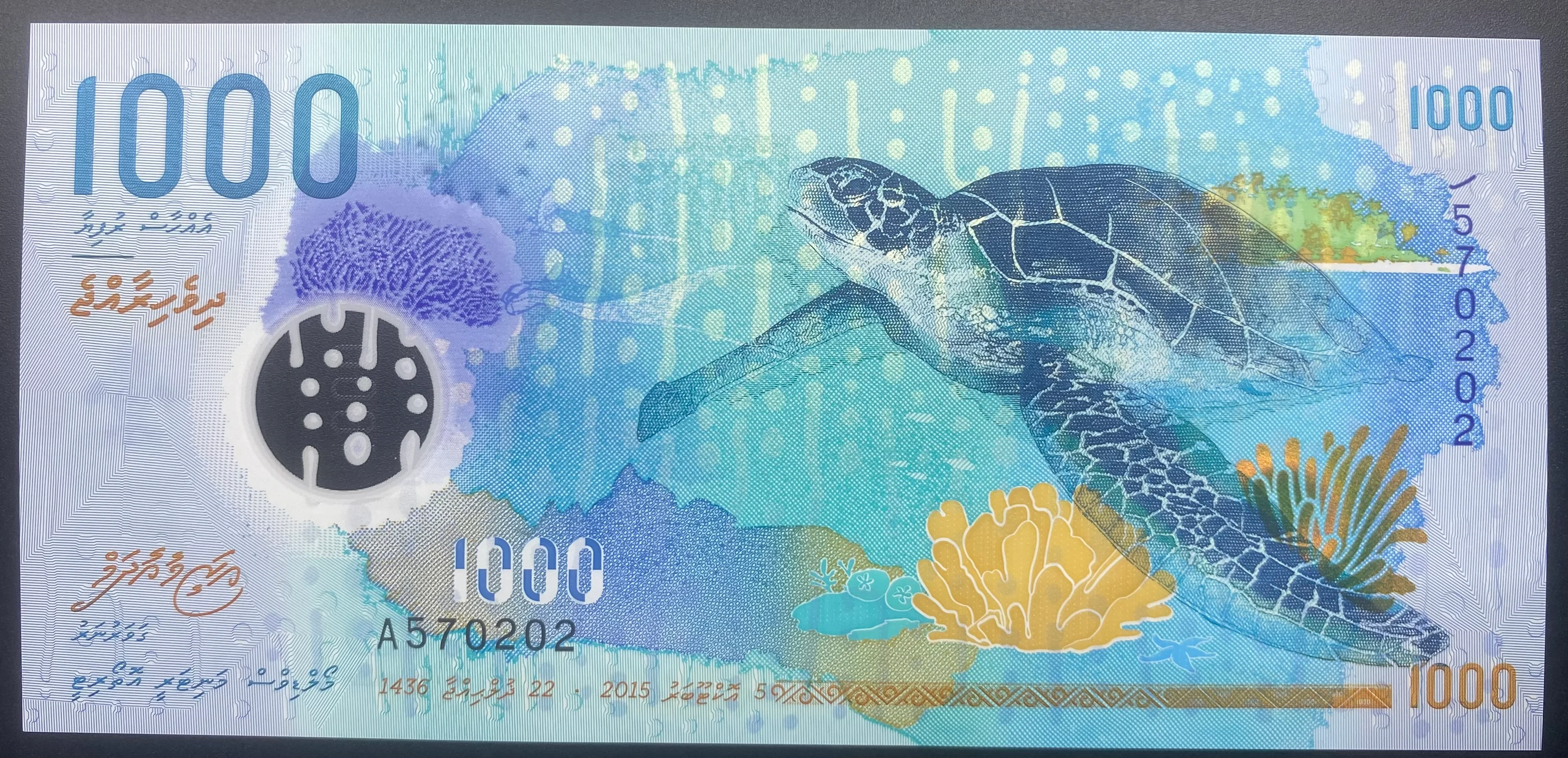 MALDİVLER 1000 RUFİYA (2018)-ÇİL
