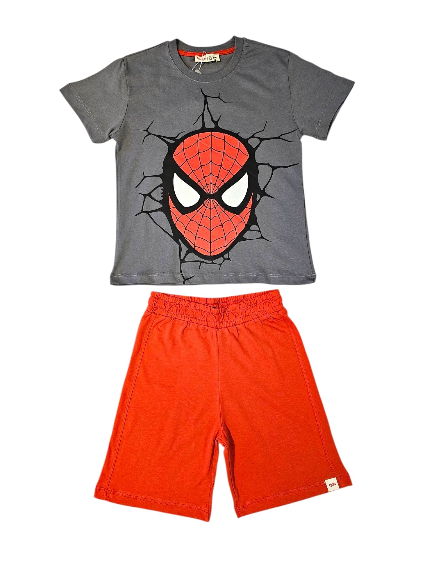 Spiderman Takım
