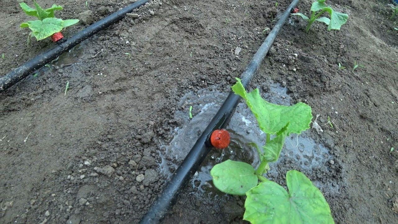 50 Metre Deliksiz Damla Sulama Sistemi Hazır Set Damlama Borusu ve Parçaları