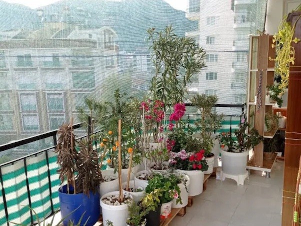 %40 Gölgelik File Gölgelik Tente Bahçe Filesi Balkon Gölgelik Çit Filesi Gölgeleme Tülü Arı Örtüsü