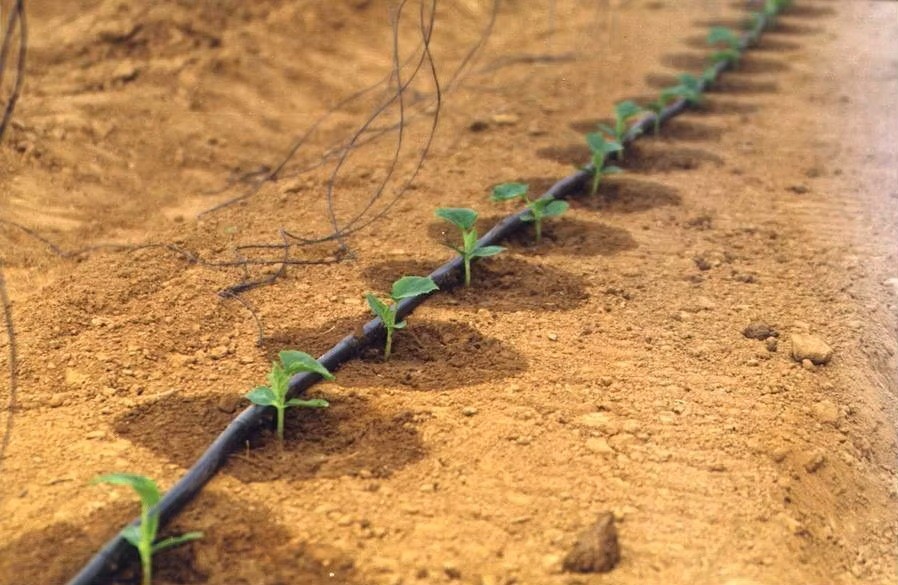 100 Metre Kendinden Delikli Damla Sulama Sistemi Hazır Set Damlama Borusu ve Parçaları